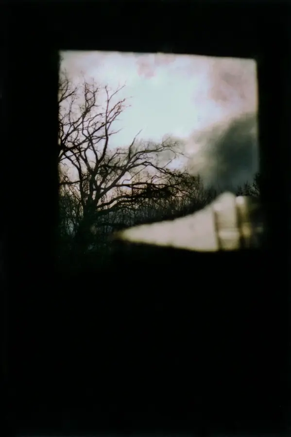 Sauen, Brandeburg, 2011